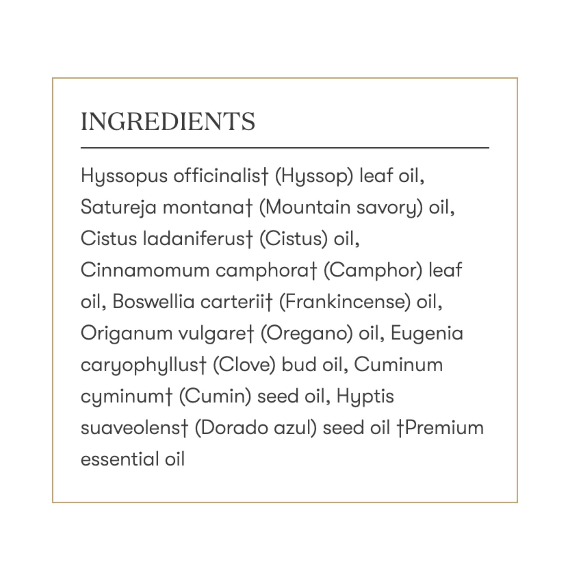 Relaxing ambience with ImmuPower enhancing home wellness rituals