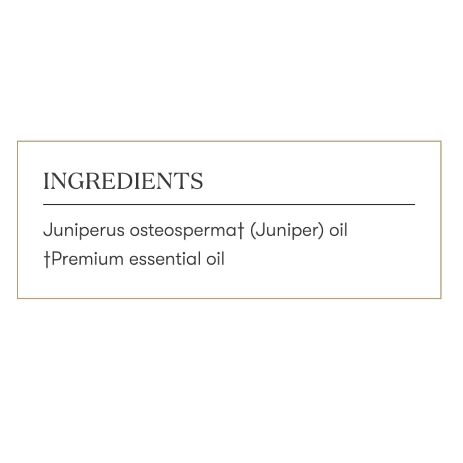 Young Living juniper essential oil diffuser releasing woody scent for focus.