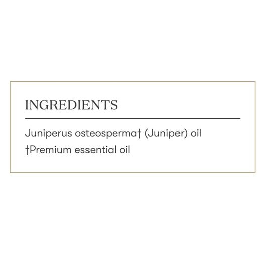 Young Living juniper essential oil diffuser releasing woody scent for focus.
