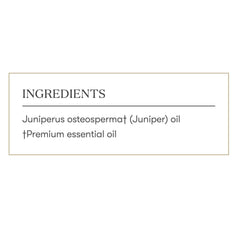 Young Living juniper essential oil diffuser releasing woody scent for focus.