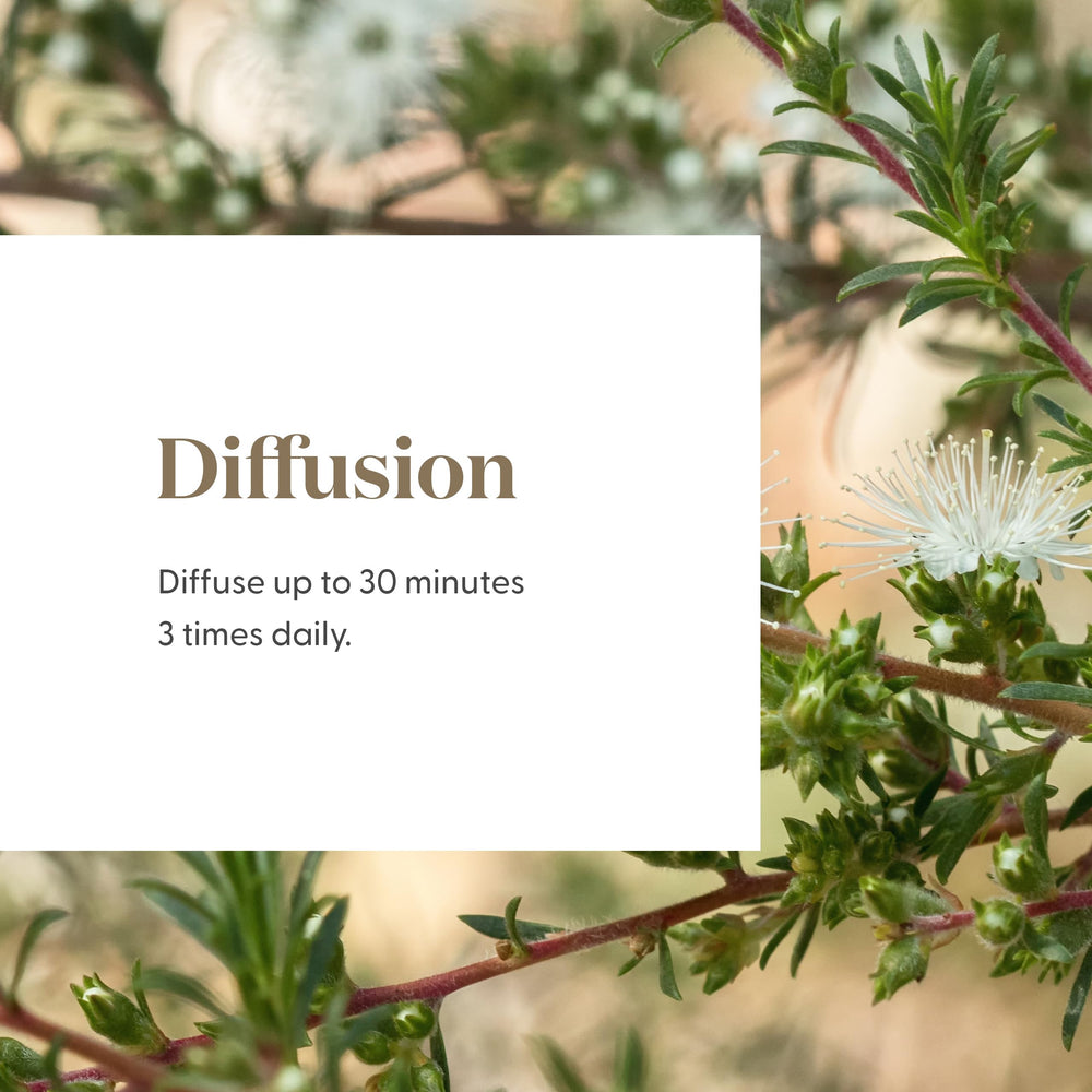 Young Living Kunzea essential oil 5ml skin application for soft routine.