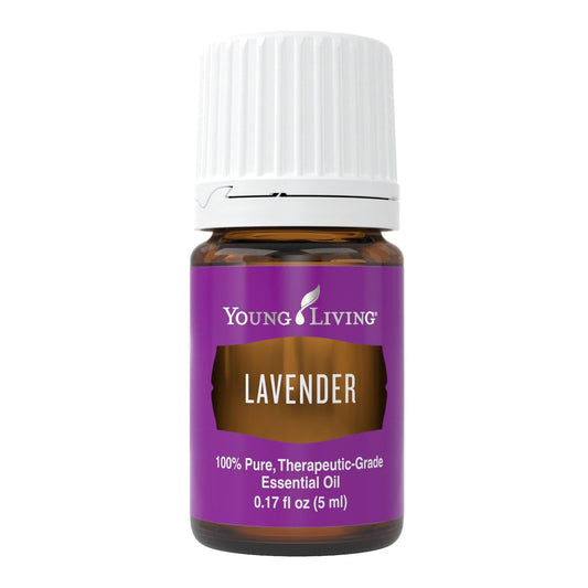 Young Living Lavender 5ml bottle with tranquil aroma for aromatherapy sessions.