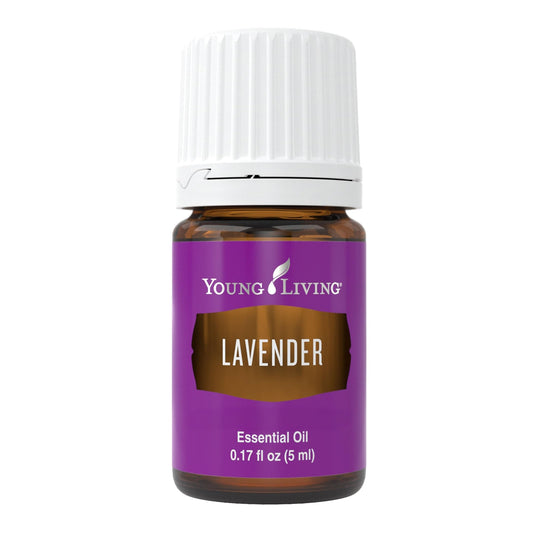 Young Living Lavender Essential Oil 5ml bottle