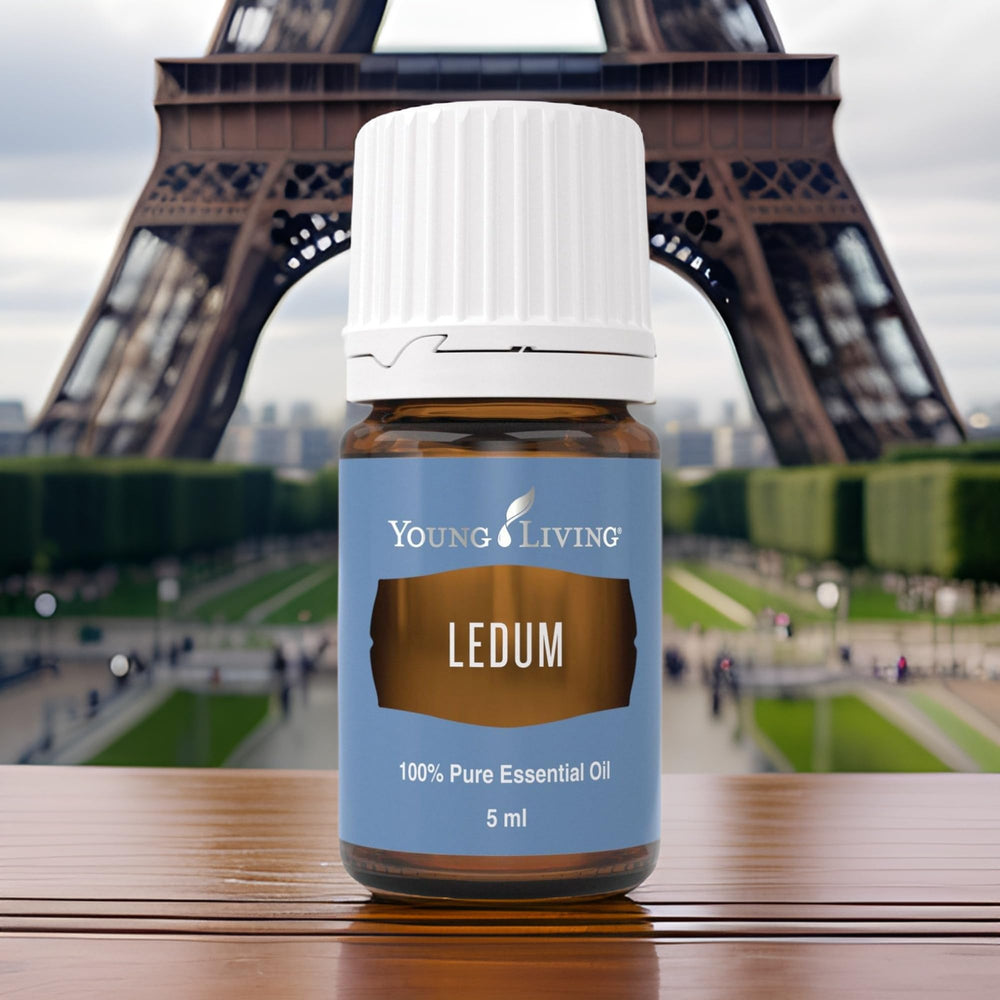 Young Living Ledum Premium oil displayed on a peaceful meditation altar.