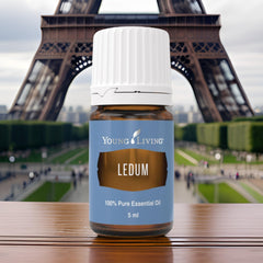 Young Living Ledum Premium oil displayed on a peaceful meditation altar.