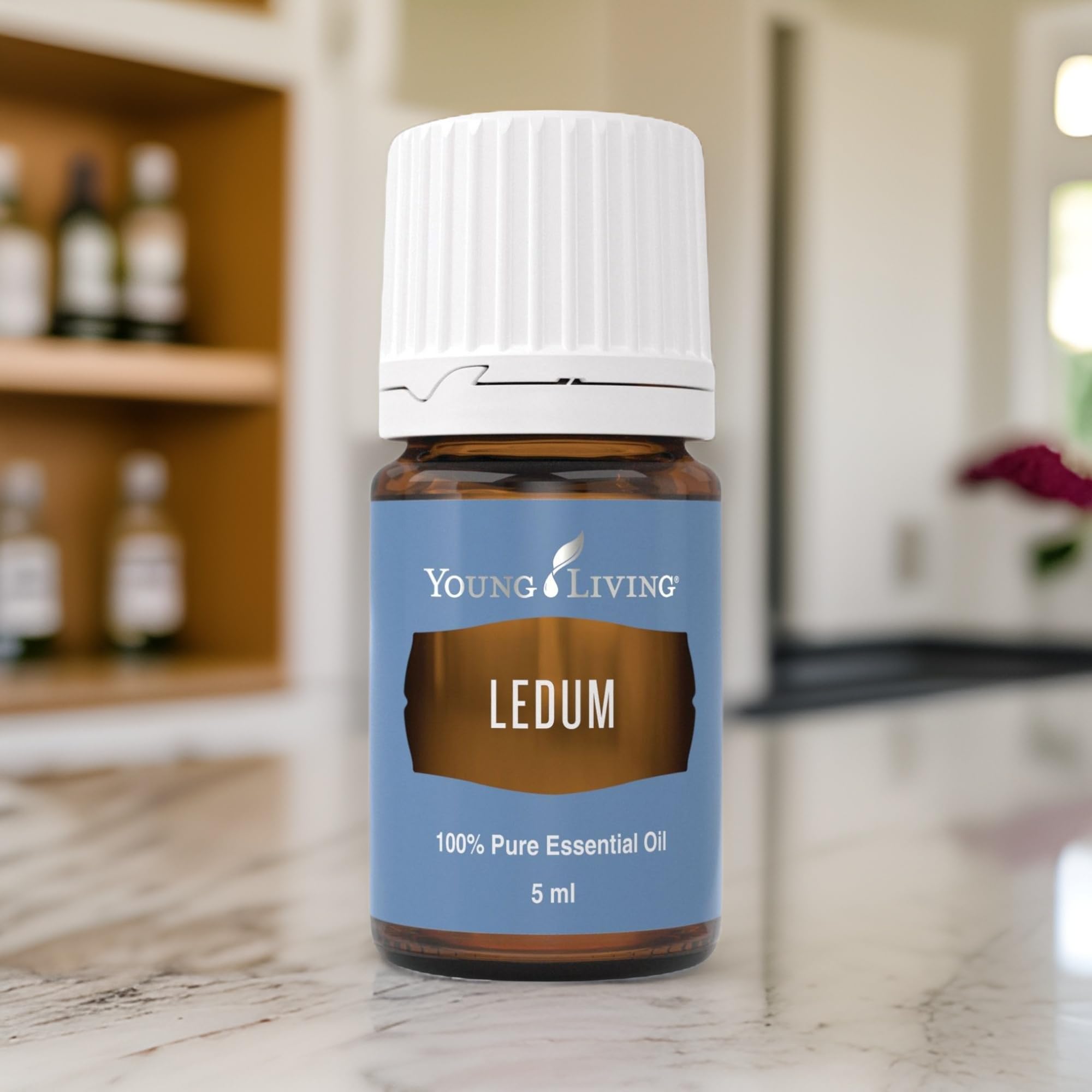 Young Living Ledum aroma oil bottle shown with calming diffuser for prayer.