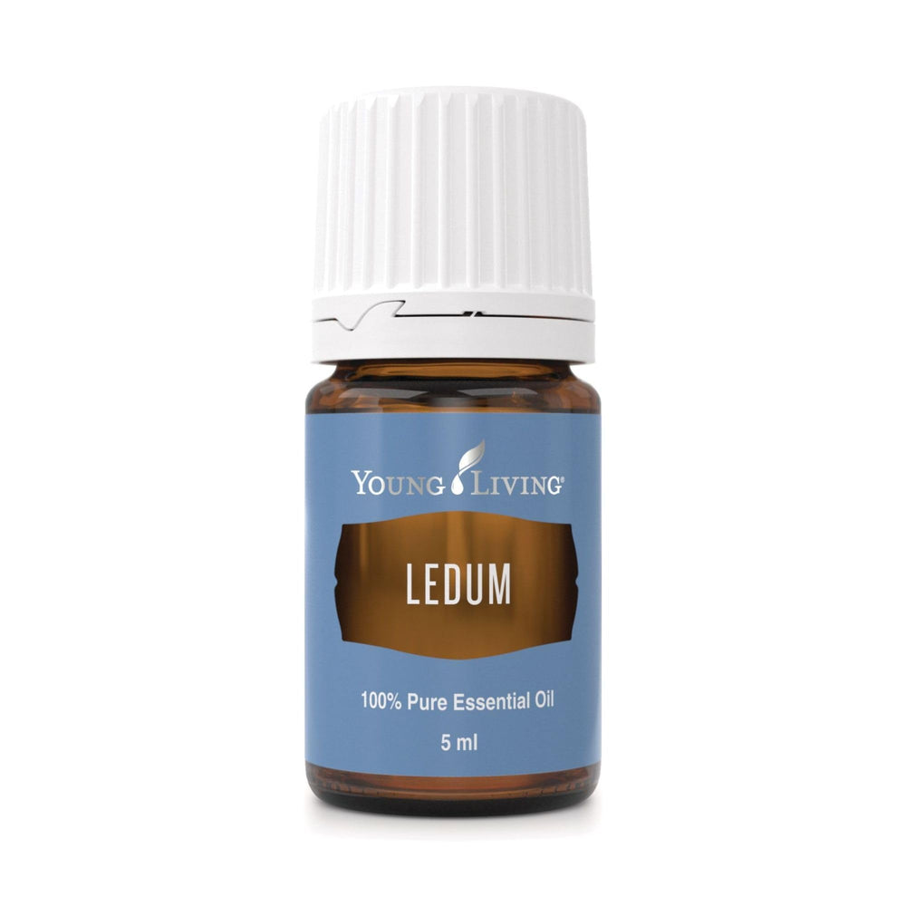 Young Living Ledum Premium essential oil bottle ready to boost meditation ambience.