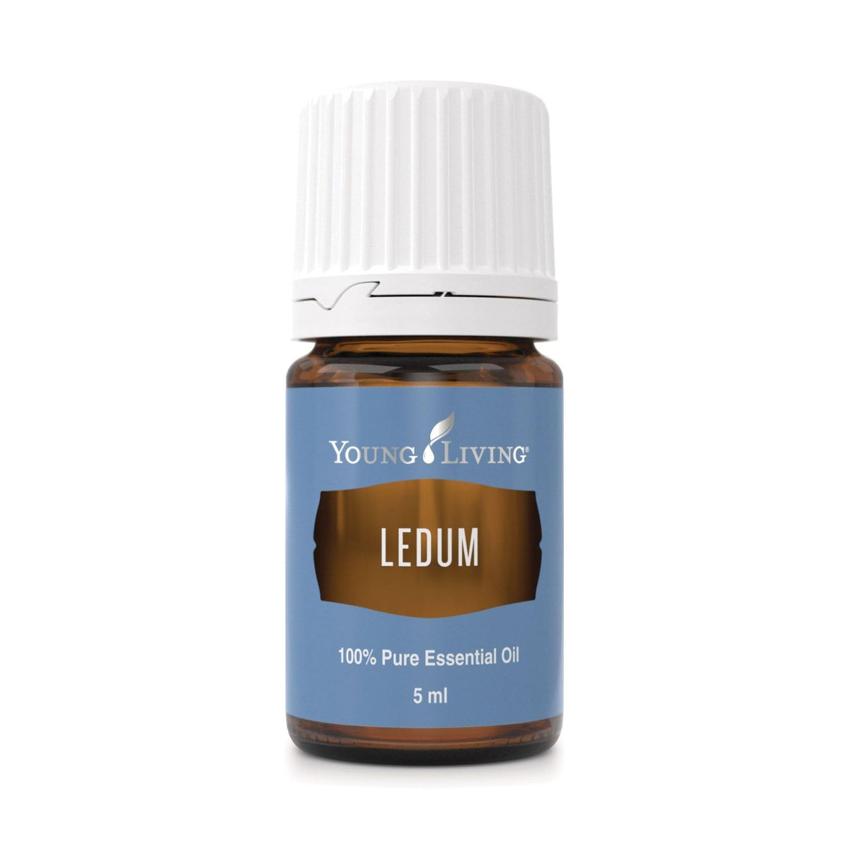 Young Living Ledum Premium essential oil bottle ready to boost meditation ambience.