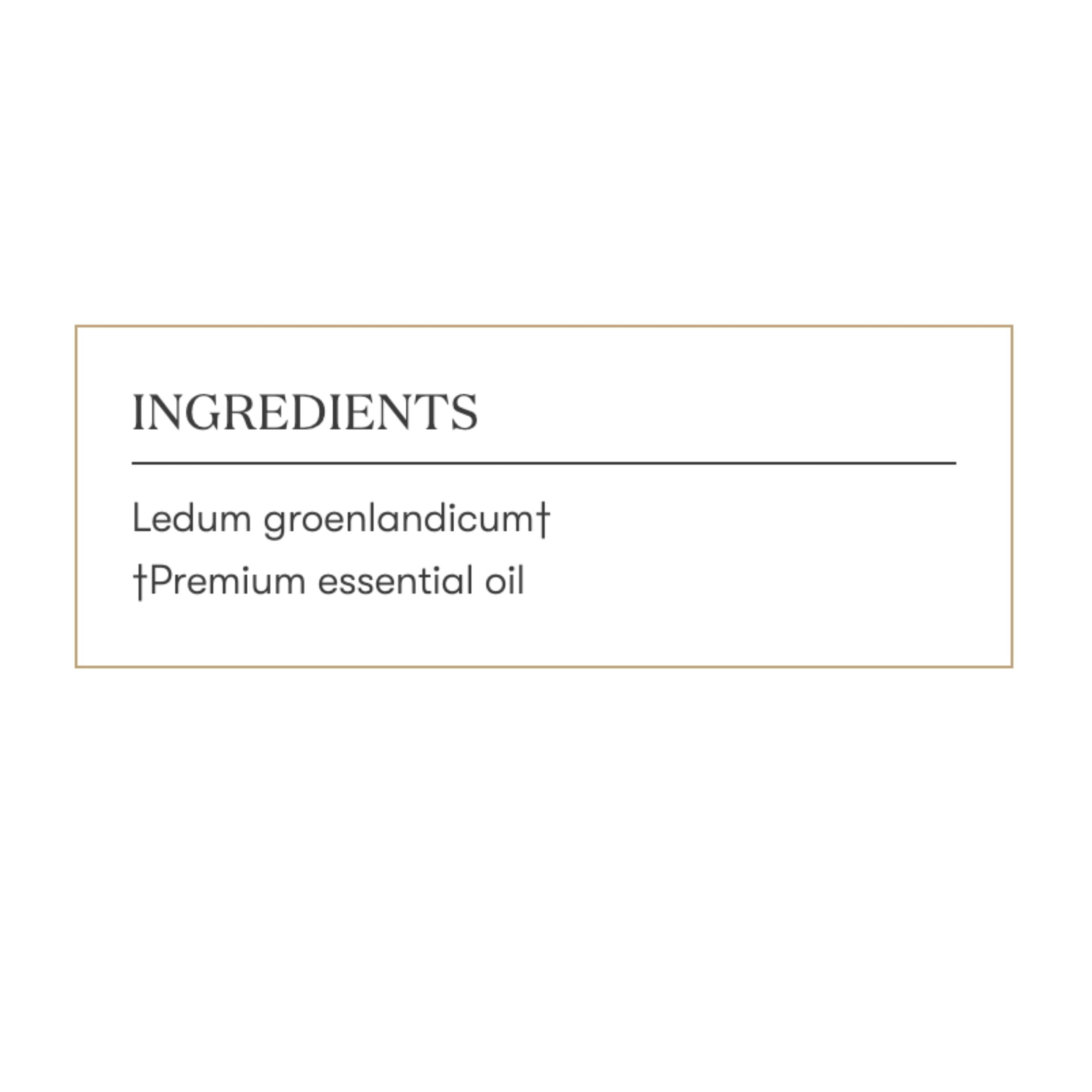 Young Living Ledum premium oil adding serenity to home spa rituals.
