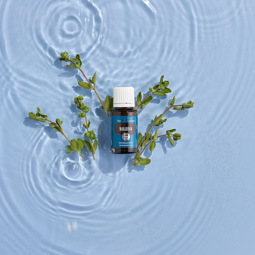 Young Living Marjoram packaging box display