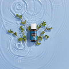 Young Living Marjoram packaging box display