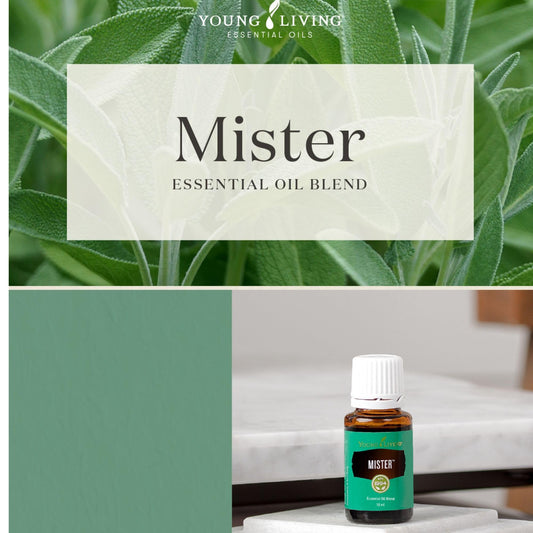 Young Living Mister Premium diffuser in a cozy room for mood support
