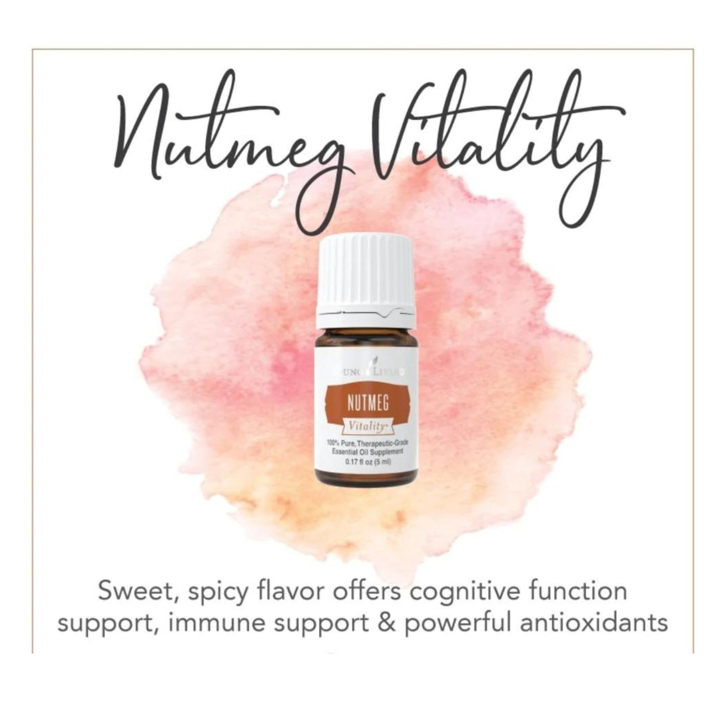 Young Living Nutmeg Vitality oil glass bottle fits into a pantry for cooking.