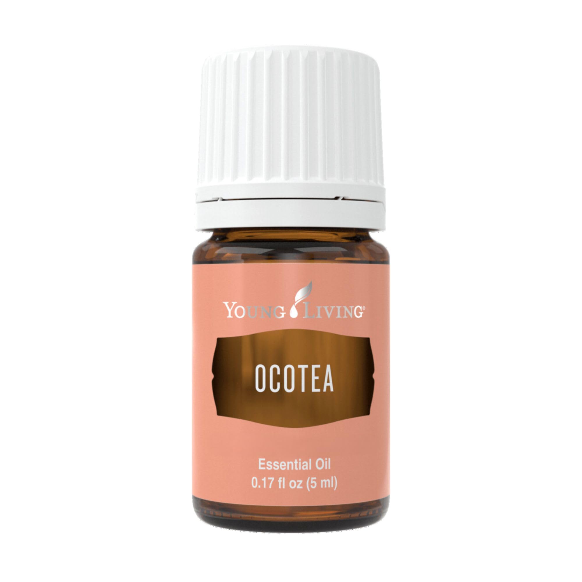 Young Living Ocotea essential oil bottle close-up for aromatherapy and skin-refreshing rituals.