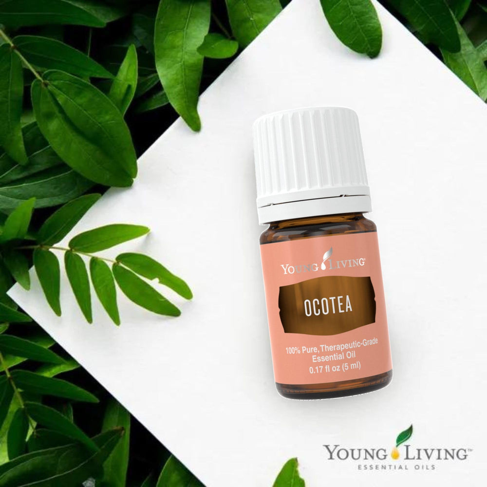 Young Living Ocotea essential oil diffuser scene creating warm, comforting ambiance.
