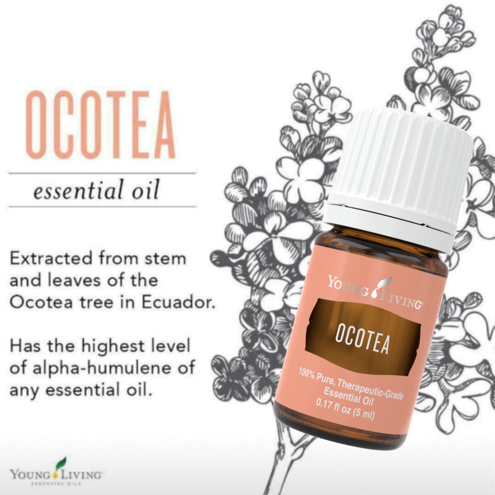 Young Living Ocotea essential oil in a spice-like aroma for cozy meditation.