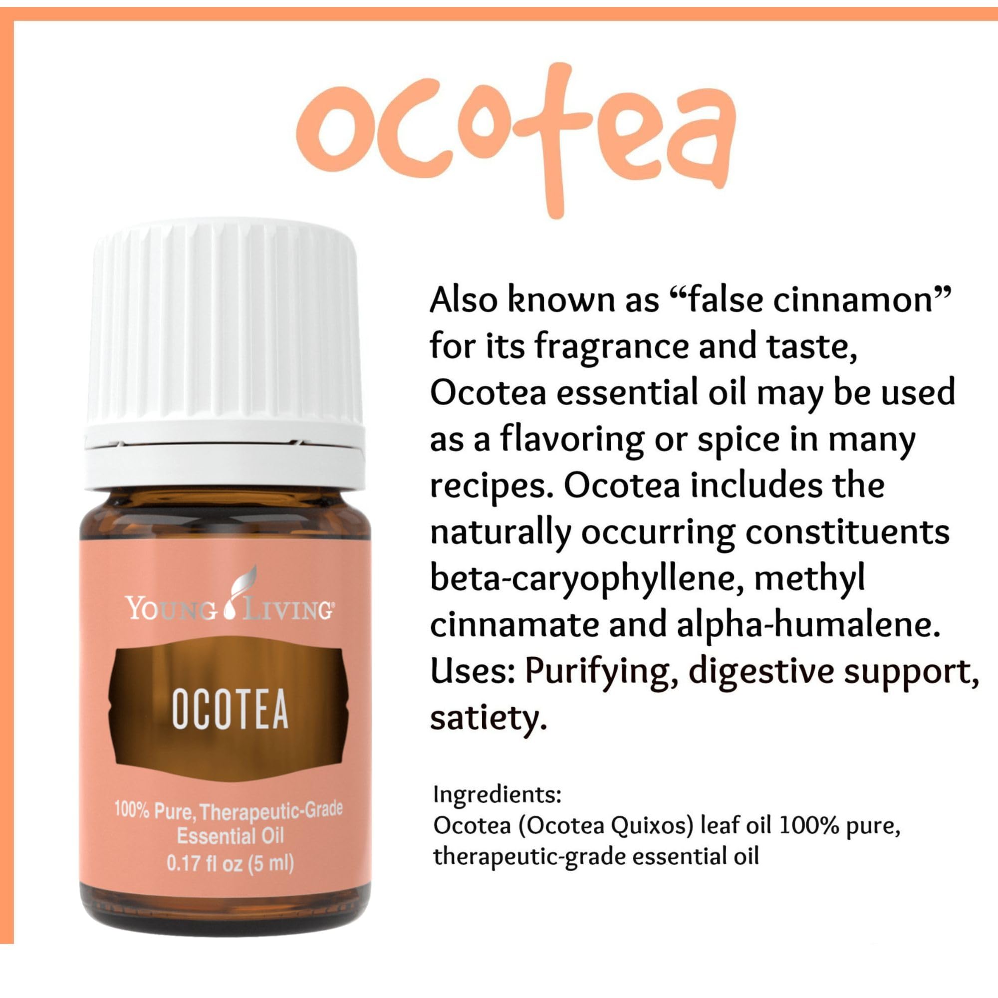 Young Living Ocotea essential oil applied topically for refreshed skin.
