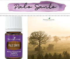 Young Living Palo Santo essential oil in diffuser setup for calming ambient scent