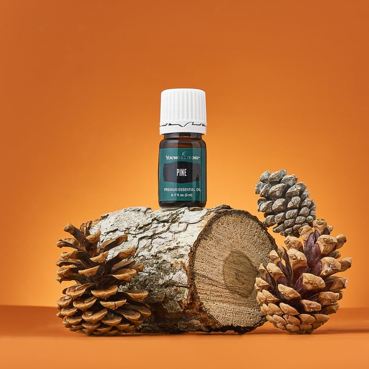 Dropper bottle of Pine essential oil