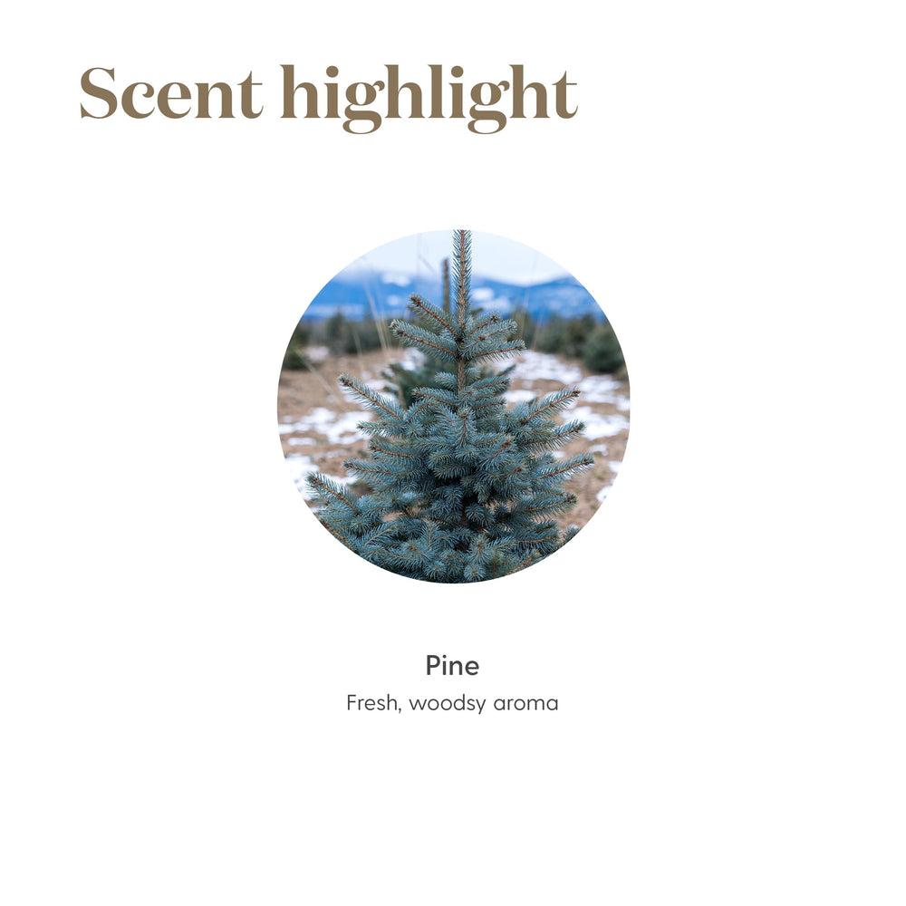 Diffuser emitting Pine essential oil fragrance