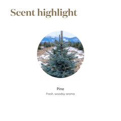 Diffuser emitting Pine essential oil fragrance