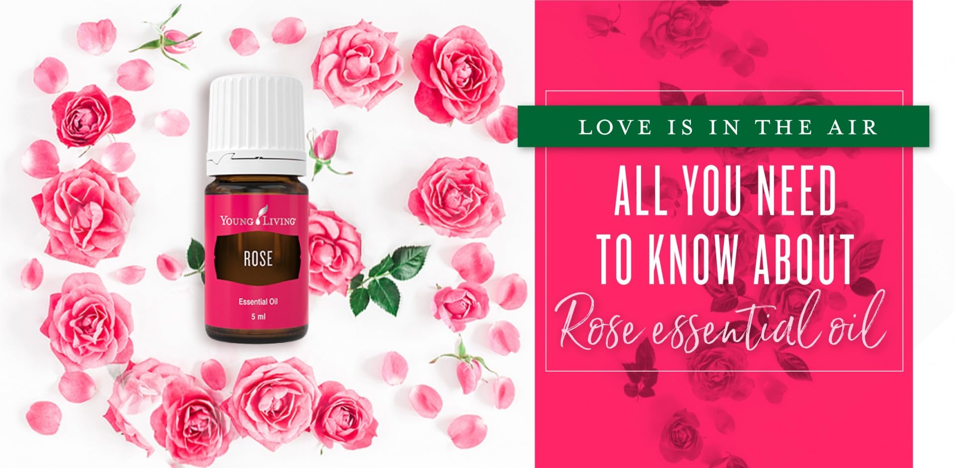 Young Living Rose Essential Oil being poured, enabling fragrance layering and DIY blends