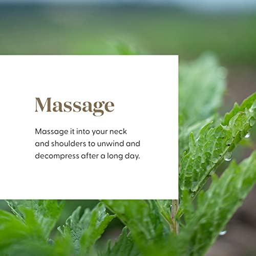 Young Living RutaVaLa Roll-On ingredients blend: ruta, valerian, lavender for relaxing scent