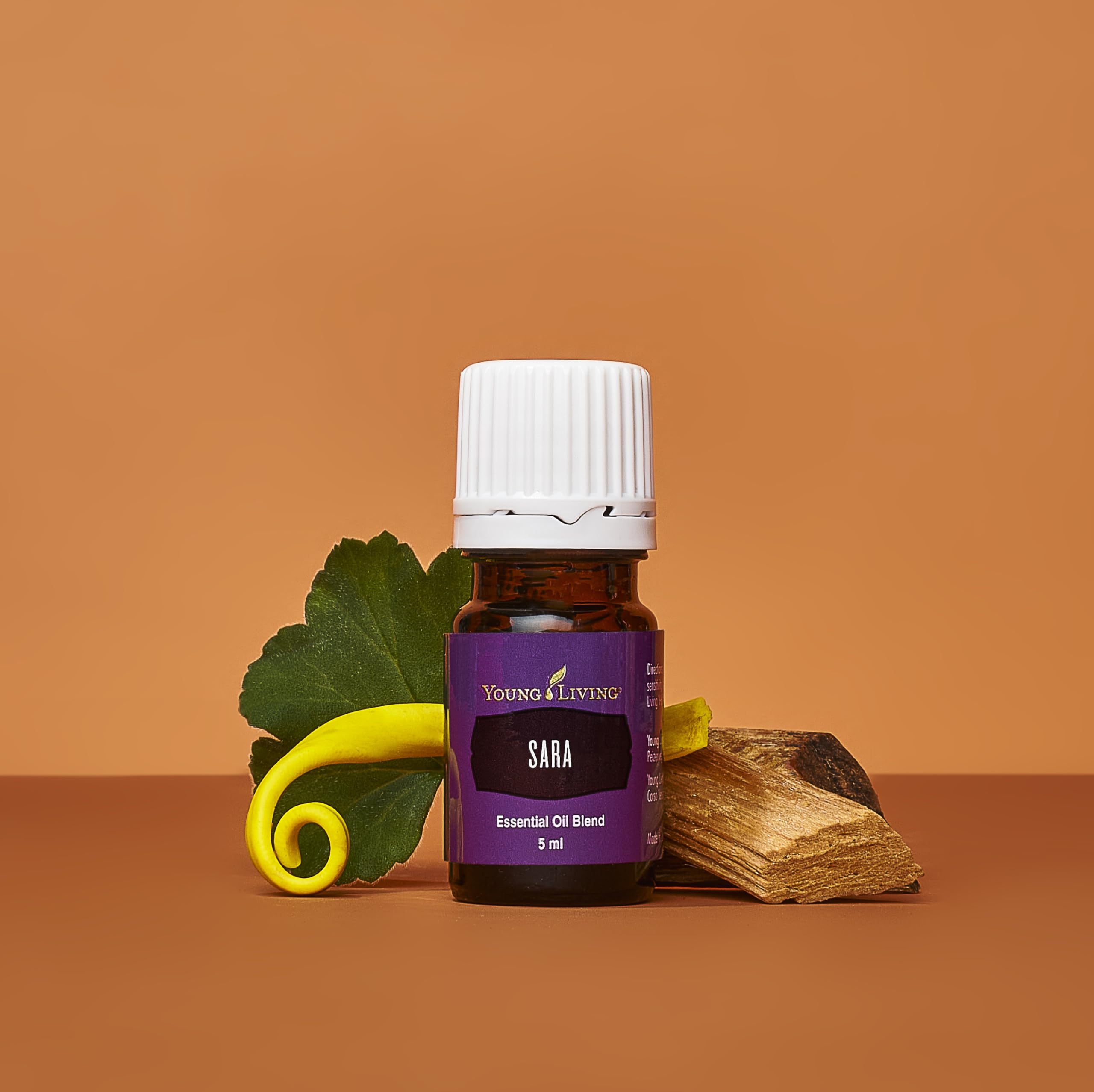 SARA creates emotional healing ambience through soft diffusion