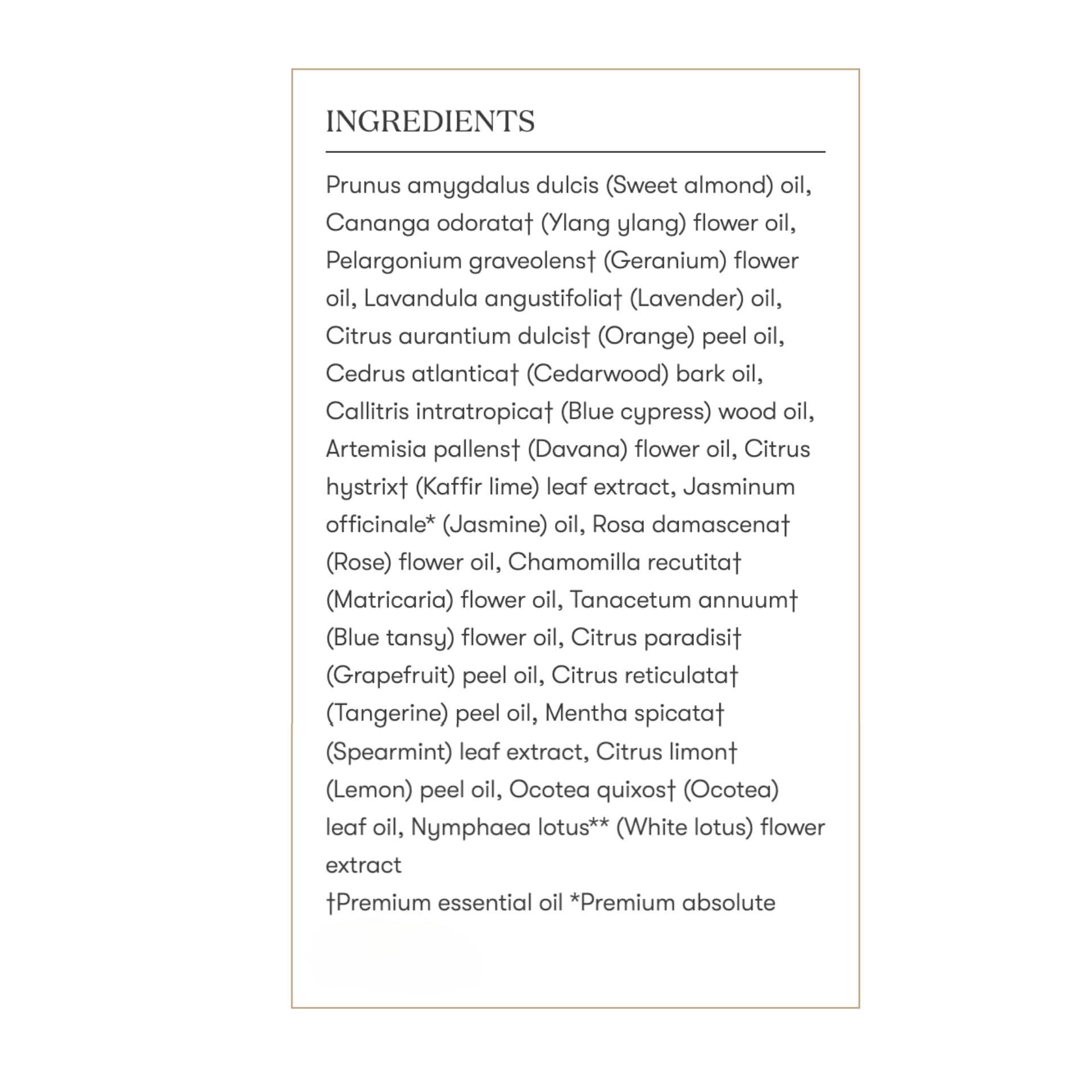 Travel-friendly SARA bottle supports mindfulness on the go