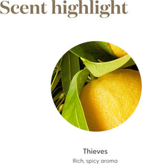 DIY cleaning solution using Thieves essential oil blend