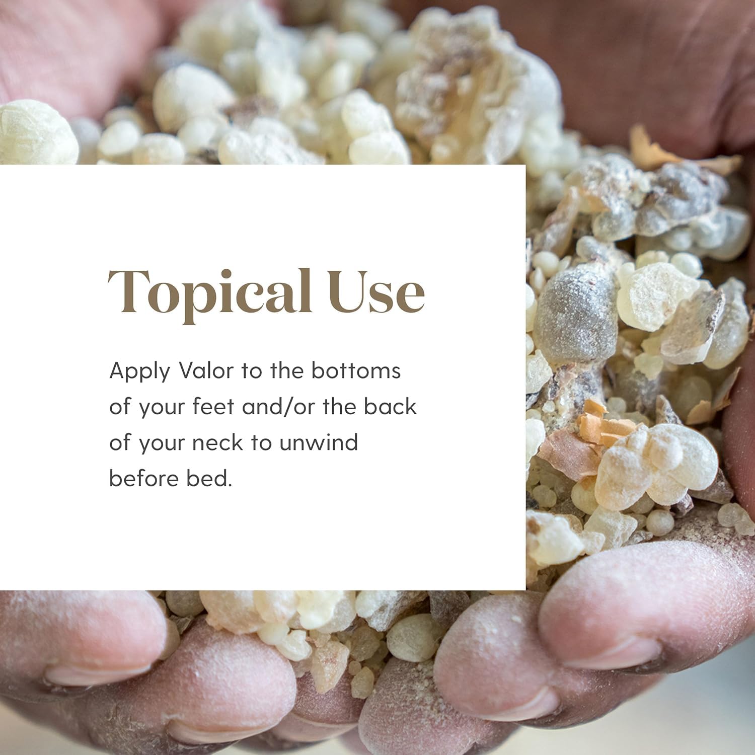 Graphic: Valor ingredients - Black Spruce, Blue Tansy, Camphor Wood, Geranium, Frankincense
