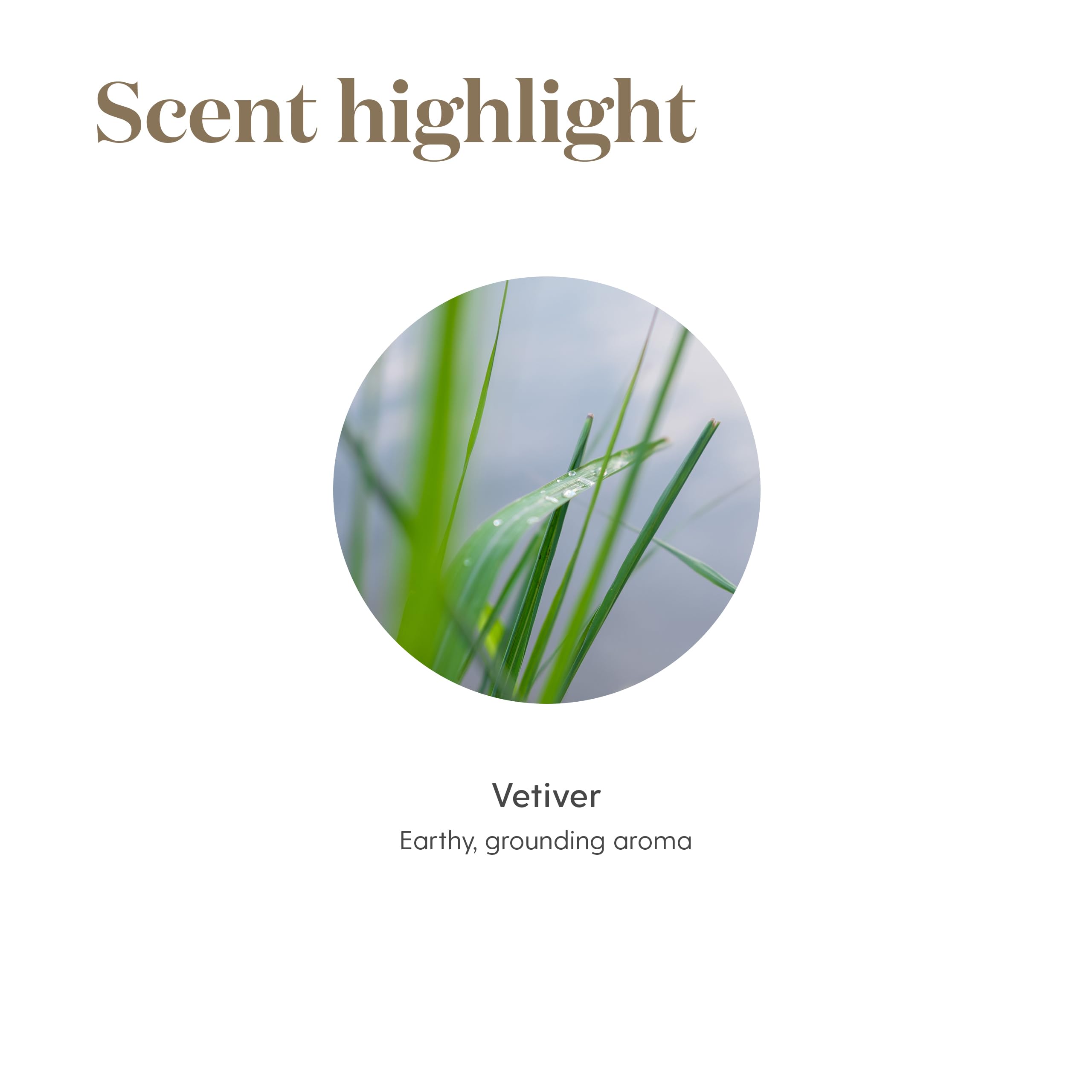 Young Living Vetiver nighttime routine scene depicts a calm cozy sleep friendly environment