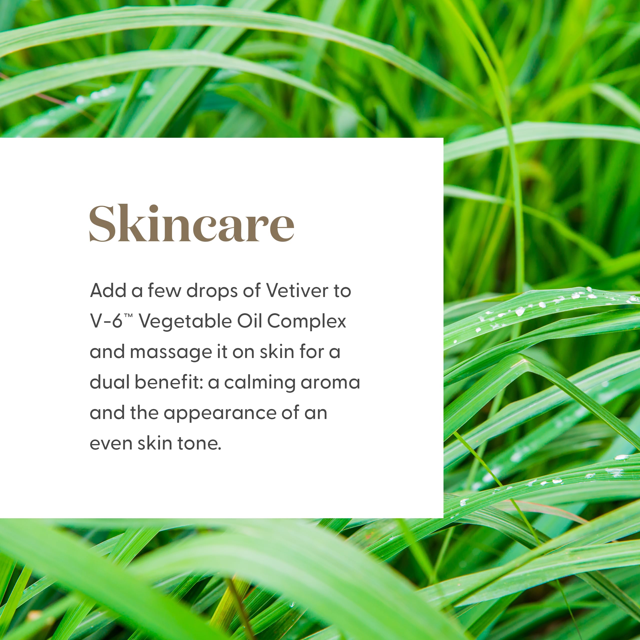Young Living Vetiver oil label detail emphasizes purity and 100 percent therapeutic oil.