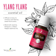 Young Living Ylang Ylang oil being poured for serene ambience.