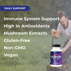 Organic mushroom extracts for immune support imagery