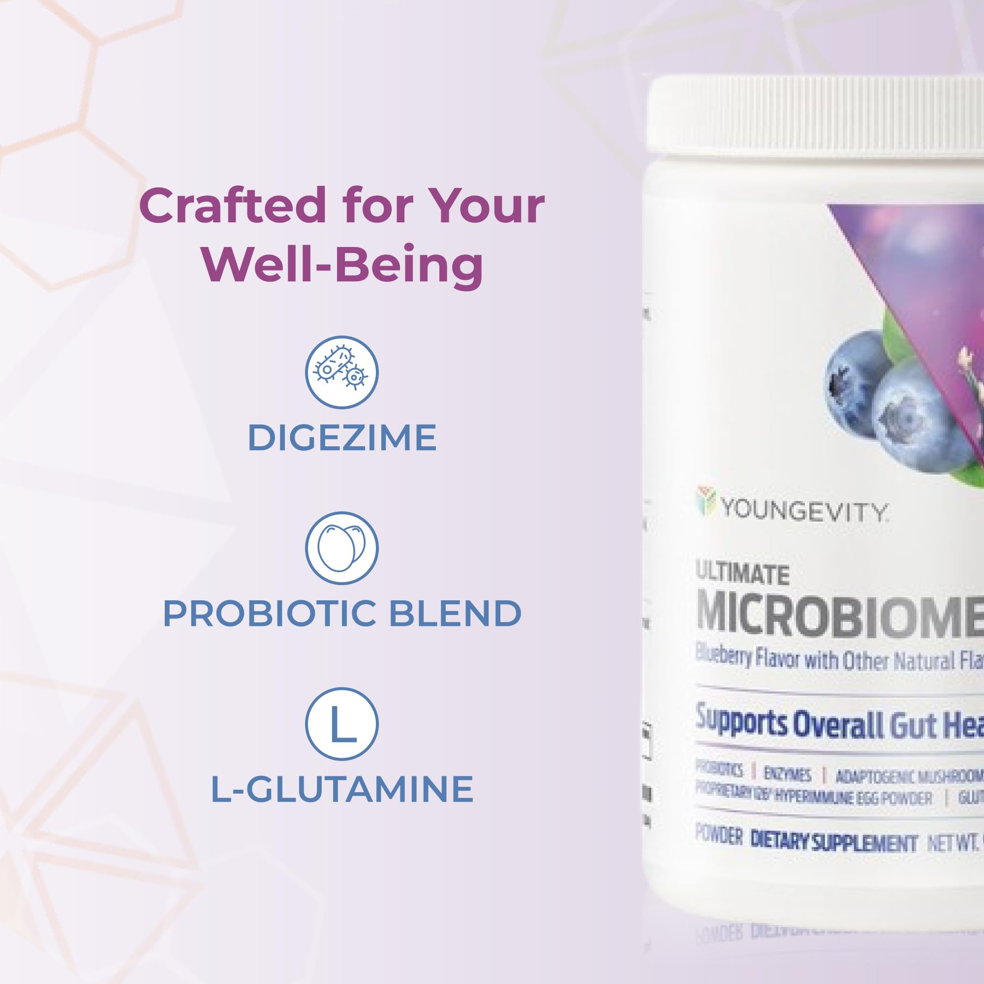Gut health supporting immune system and mood balance