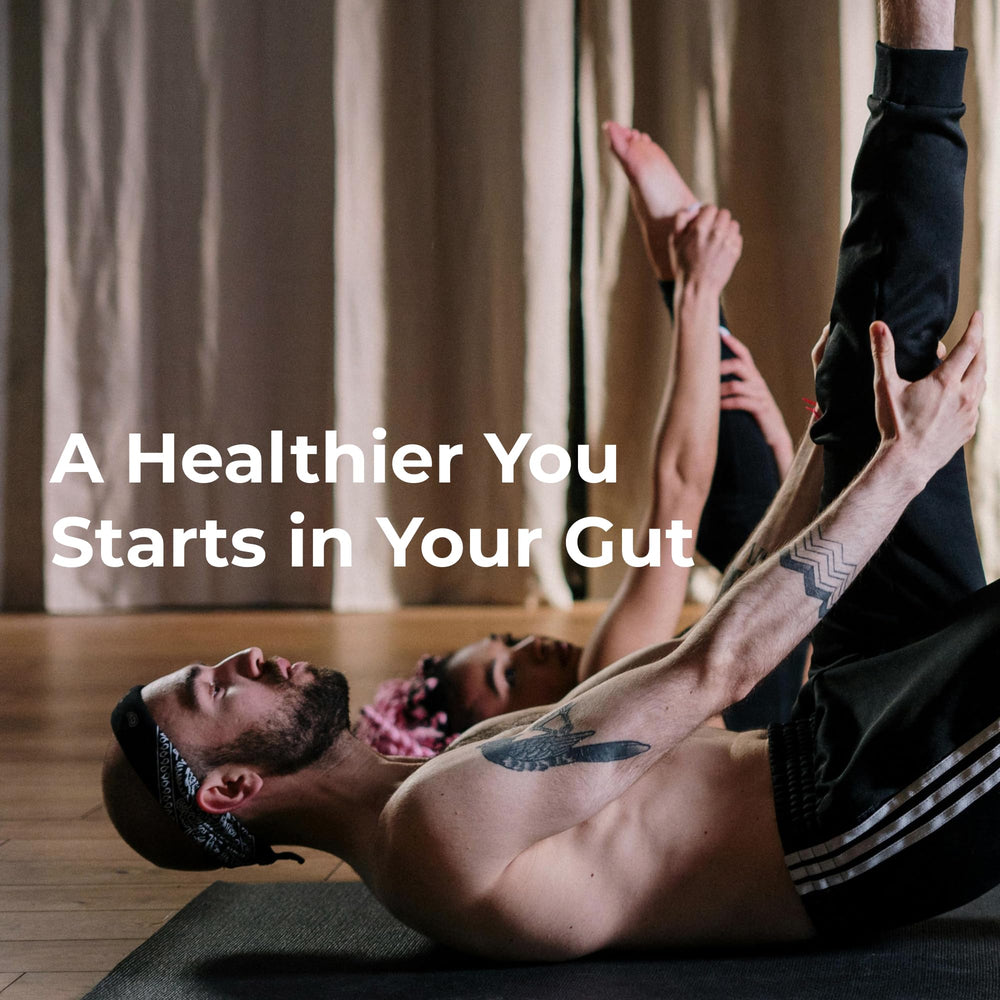 Holistic benefits including digestion, immune health, skin, and weight support