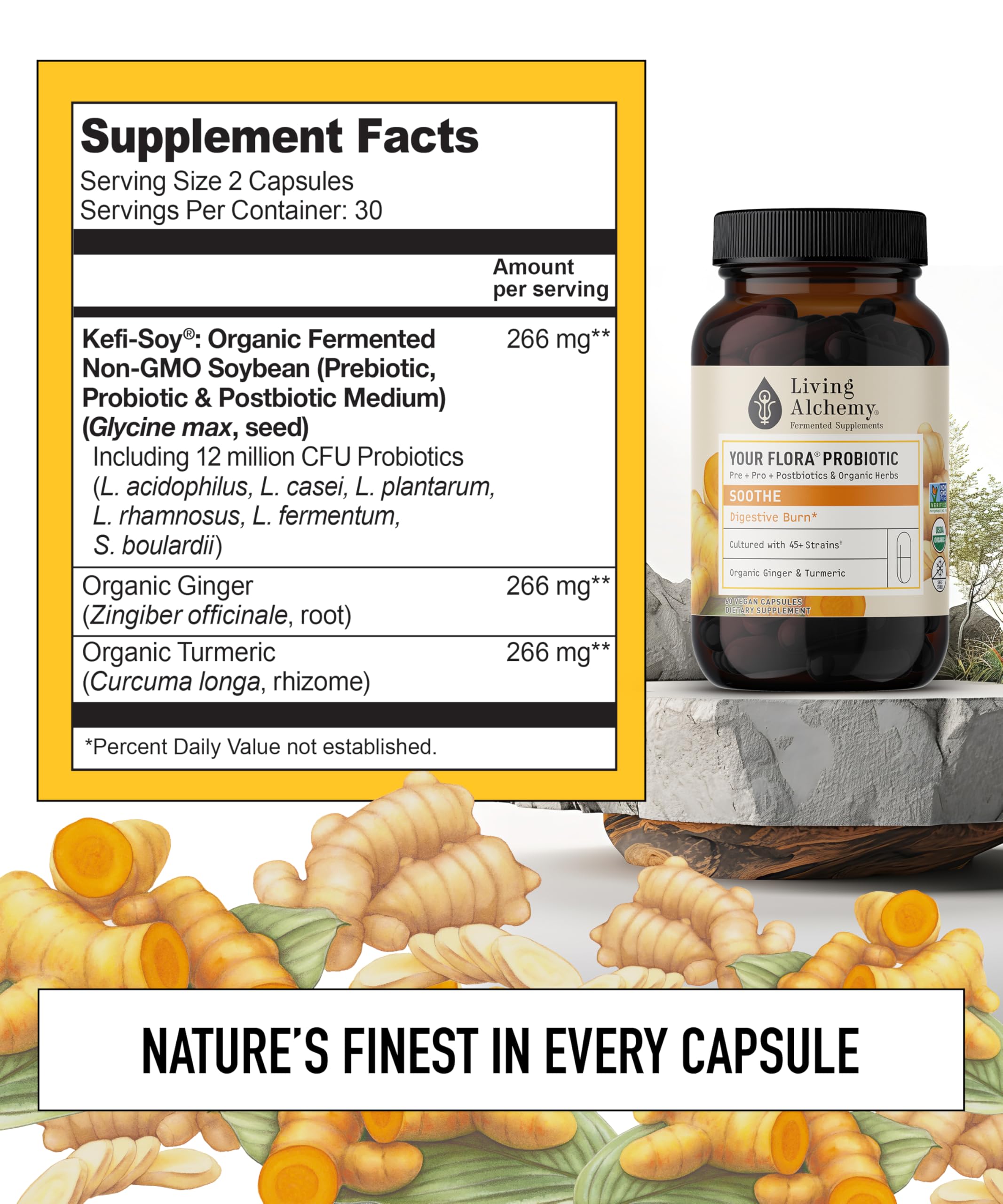 Fermented soybean probiotic ingredients highlight