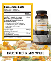 Fermented soybean probiotic ingredients highlight