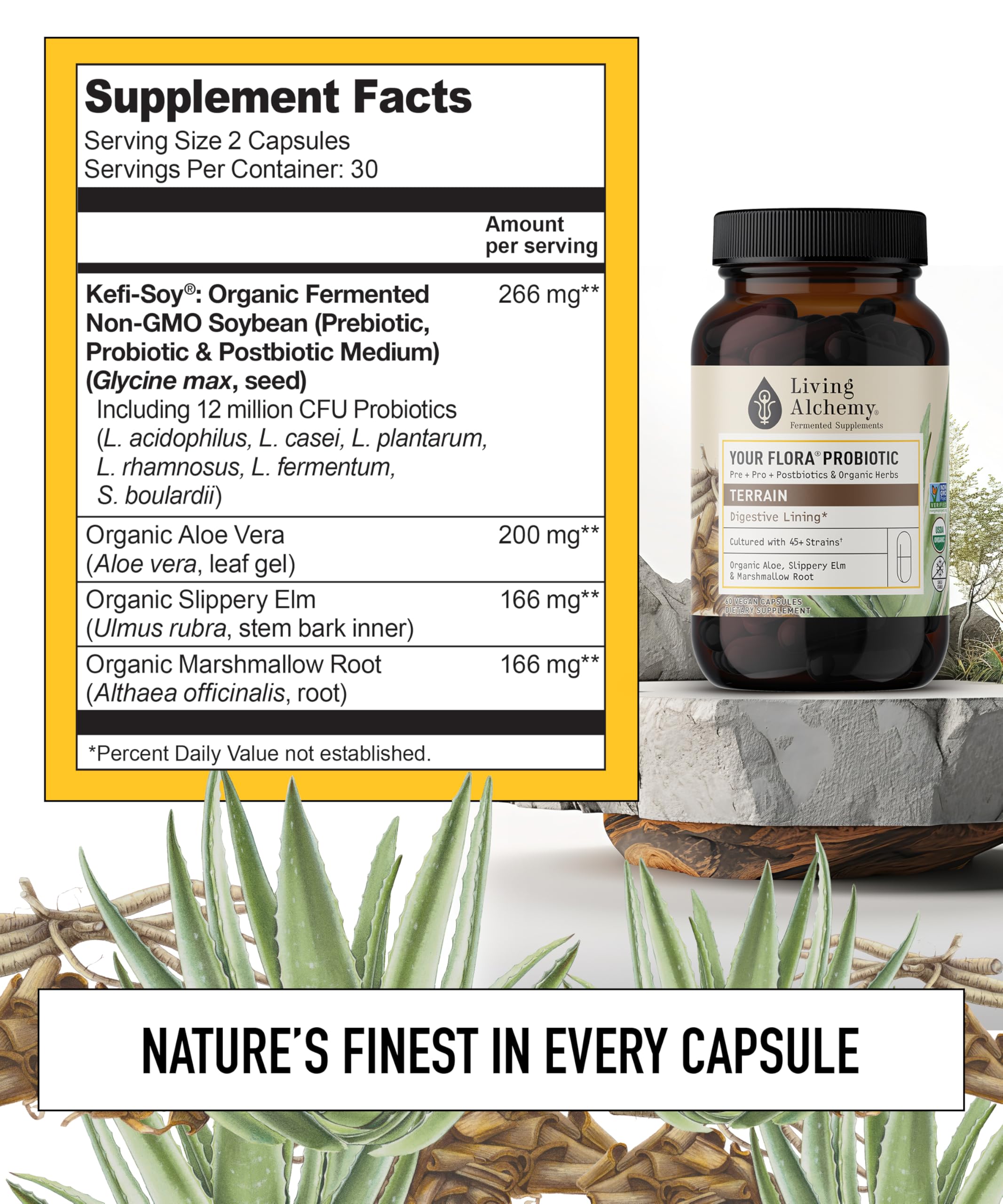 Close-up of probiotic capsules and label details