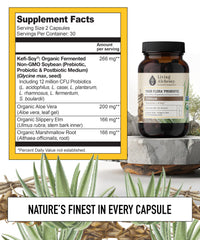 Close-up of probiotic capsules and label details