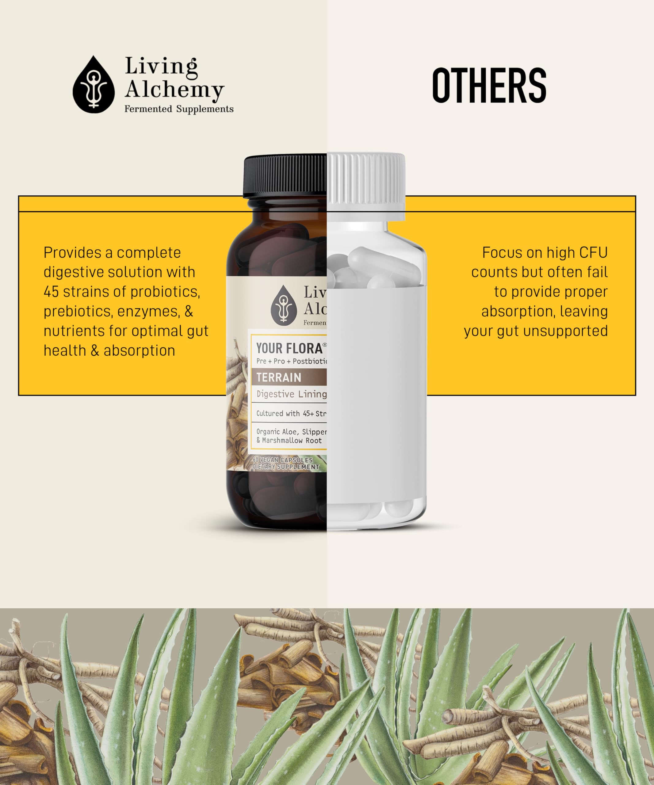 Capsules containing 45+ probiotic strains and enzymes