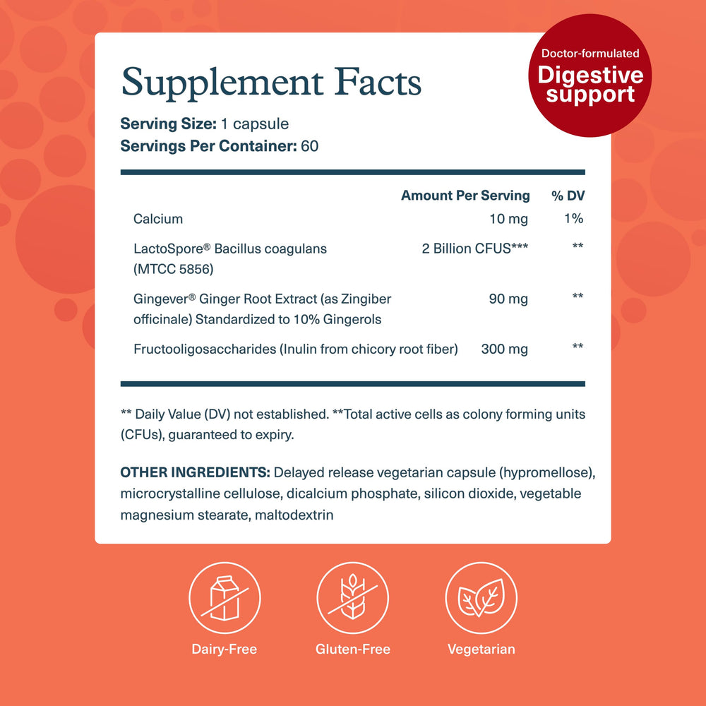 Gingever fast-acting ginger extract illustration