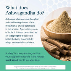 Supplement facts panel for Youtheory Ashwagandha + GABA
