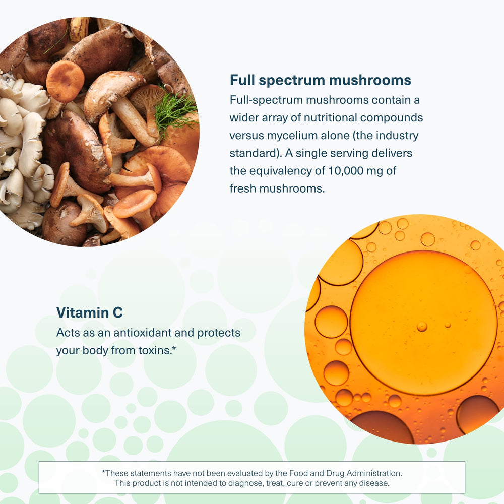 Mushroom blend total 1,000 mg image