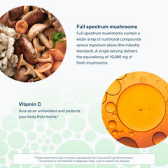 Mushroom blend total 1,000 mg image