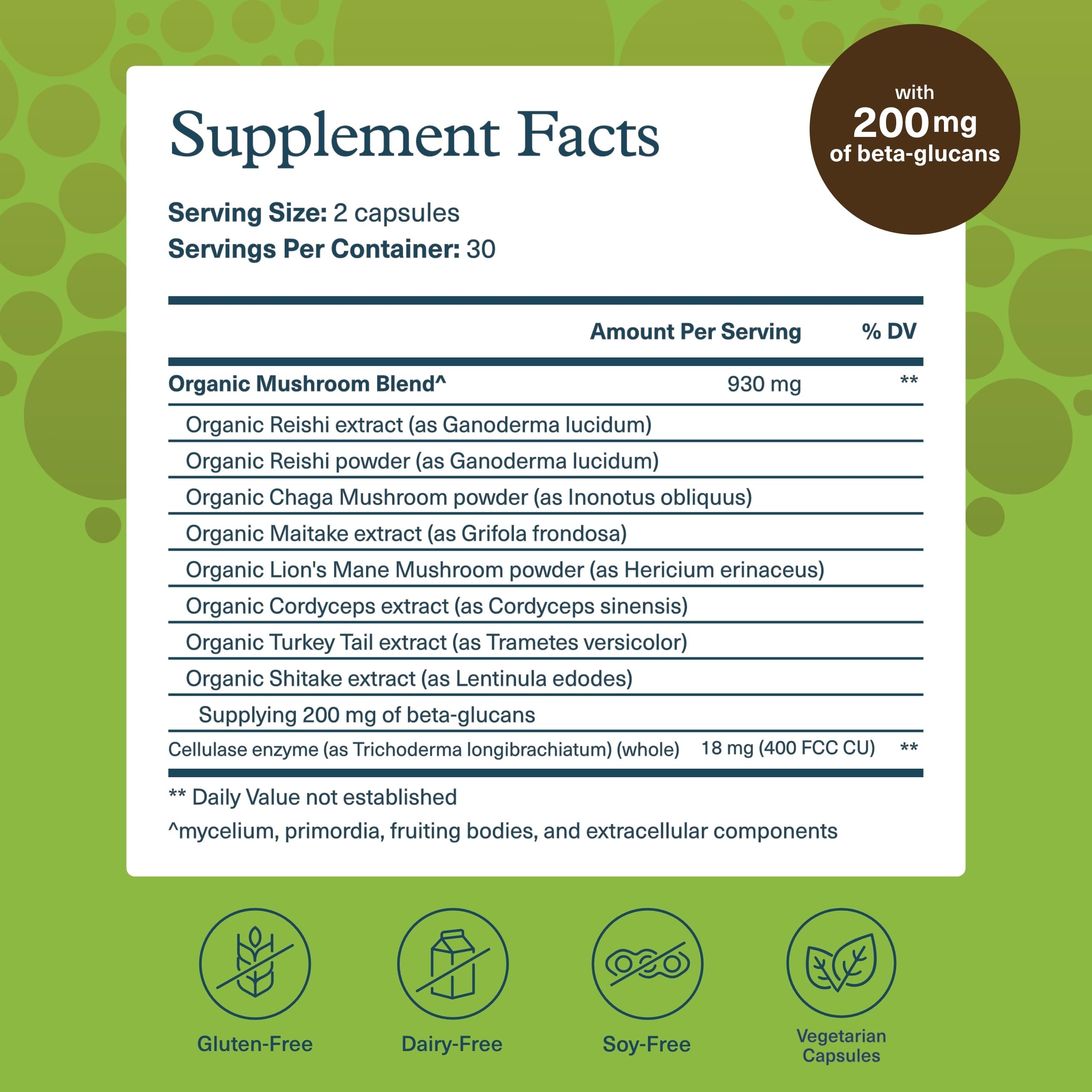 Back panel listing ingredients for Youtheory Mushroom Immune Complex organic mushroom blend