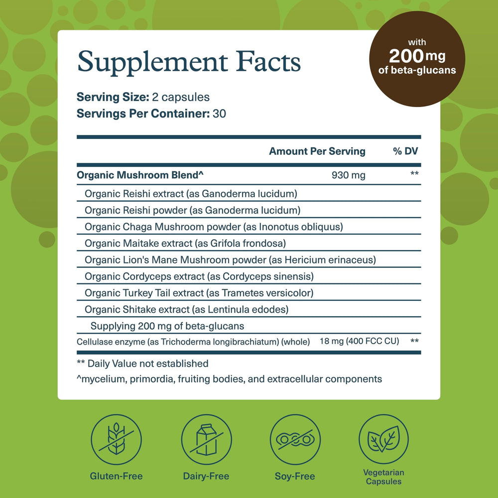 Back panel listing ingredients for Youtheory Mushroom Immune Complex organic mushroom blend