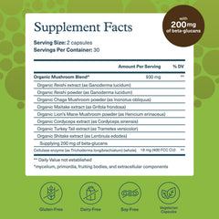 Back panel listing ingredients for Youtheory Mushroom Immune Complex organic mushroom blend