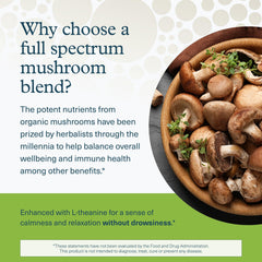 Image of the organic mushroom blend: reishi, chaga, maitake, lion's mane, cordyceps